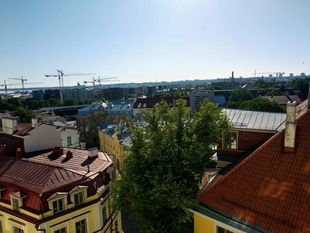 Apartament Cozy Oldtown Studio With Magnific City View Tallin Zewnętrze zdjęcie